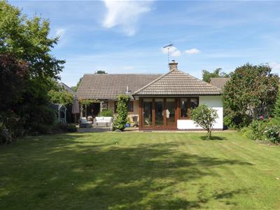 Picture 20